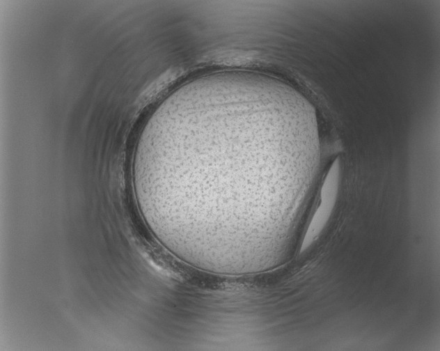 X0000076080682200610202041