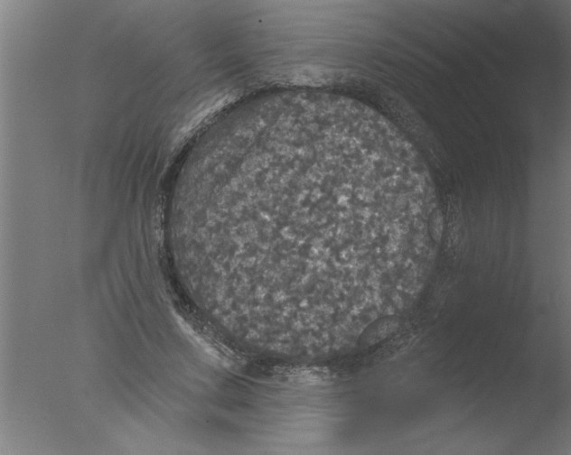 X0000076080683200610202041