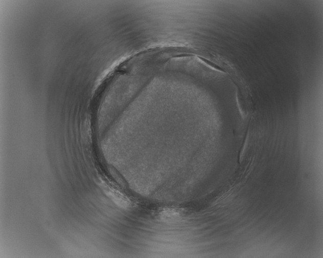 X0000076080684200610202041