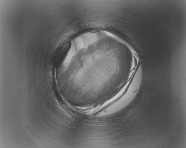 X0000076080688200610202041