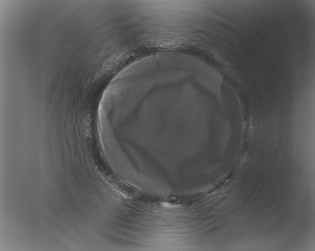 X0000076080689200610202041