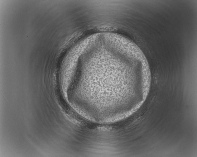 X0000076080690200610202041