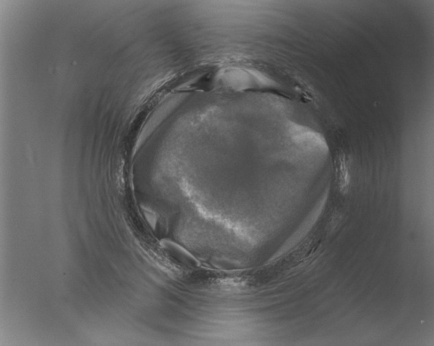 X0000076080692200610202040