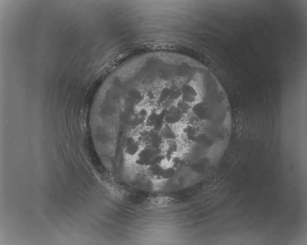 X0000076080695200610202040