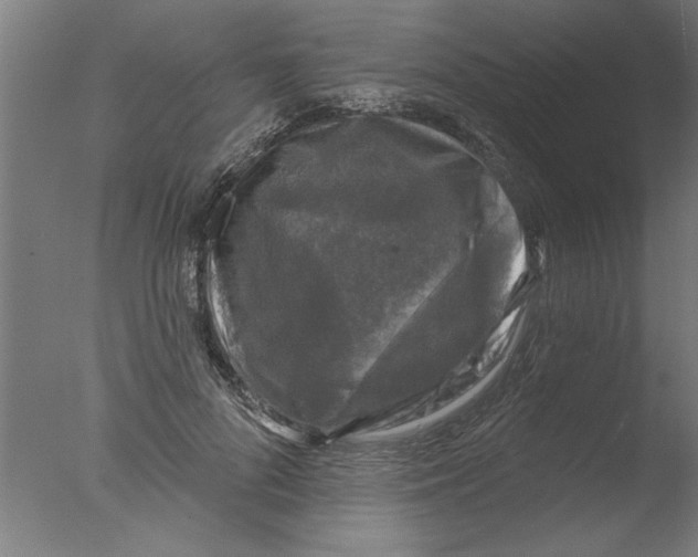 X0000076080696200610202040