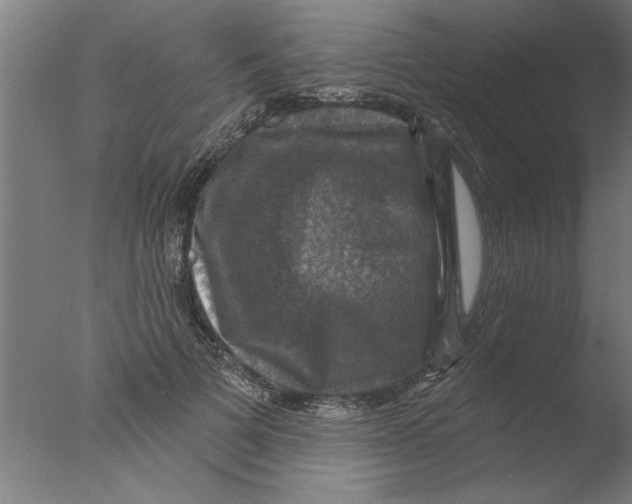 X0000076080697200610202040