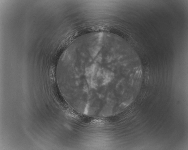 X0000076080699200610202040