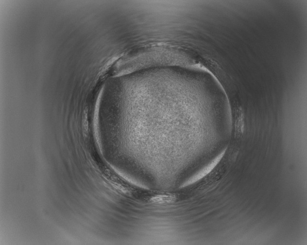 X0000076080700200610202040