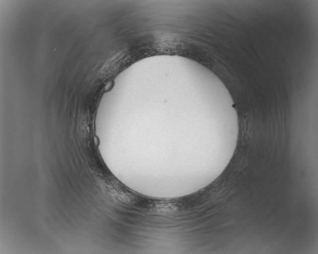 X0000076080702200610202040