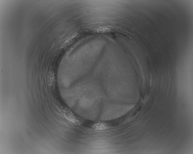 X0000076080704200610202040