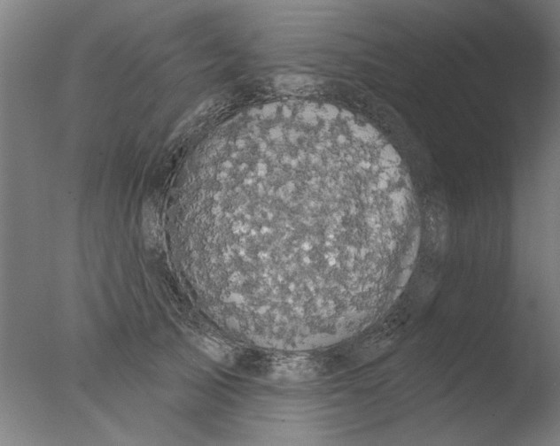 X0000076080705200610202040