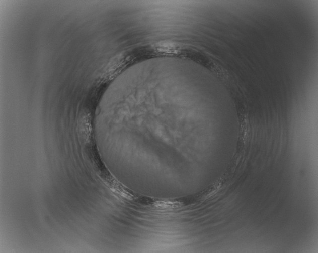 X0000076080707200610202040