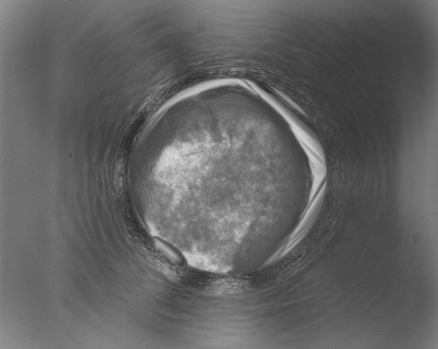 X0000076080708200610202040