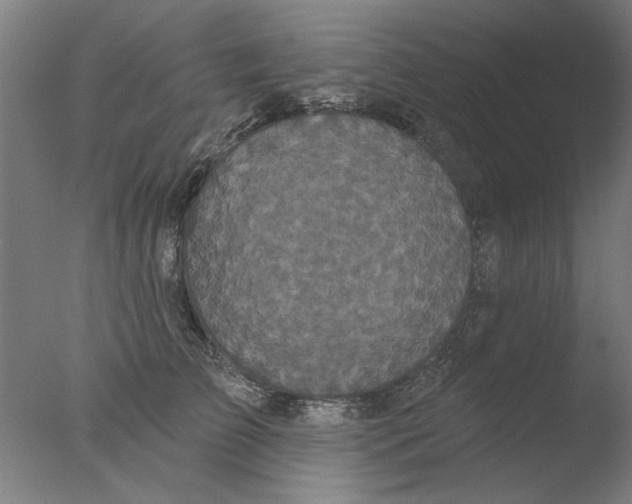 X0000076080709200610202040