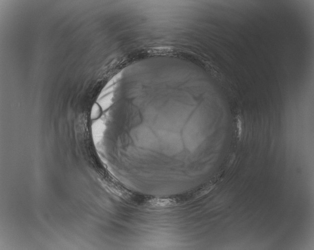 X0000076080711200610202040