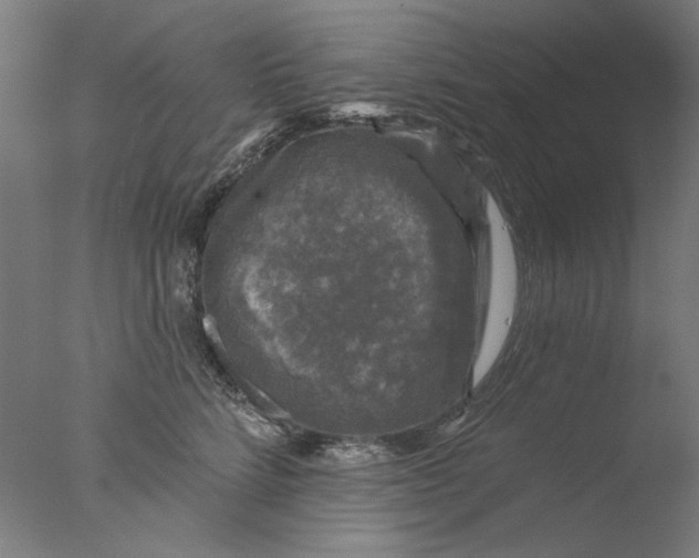 X0000076080712200610202040