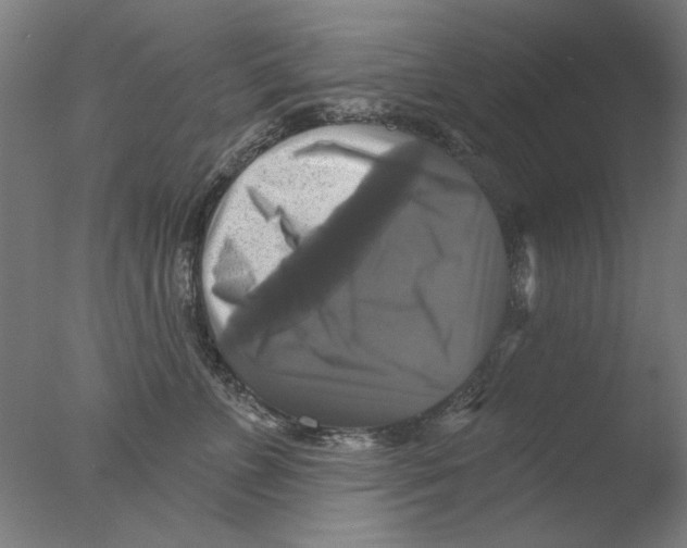 X0000076080715200610202040