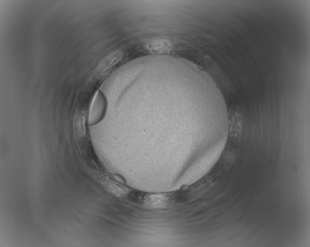 X0000076080717200610202040