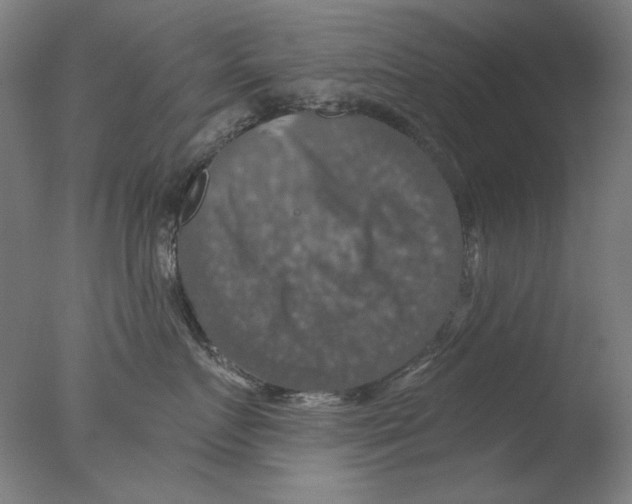 X0000076080719200610202040