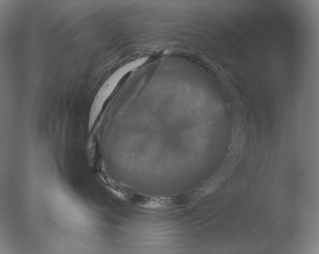 X0000076080720200610202040