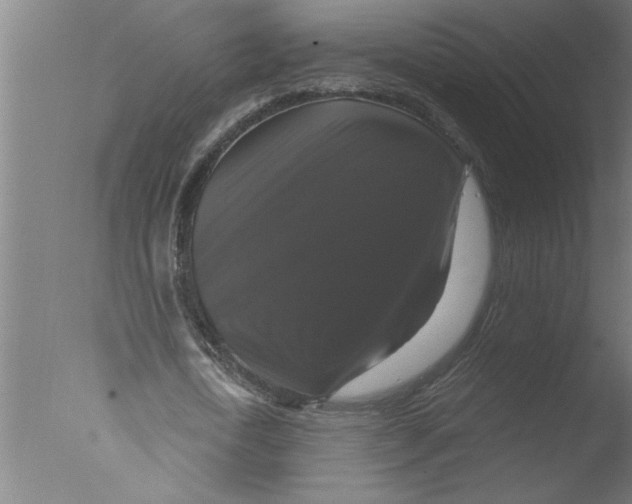 X0000076080722200610202039