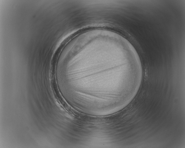 X0000076080724200610202039