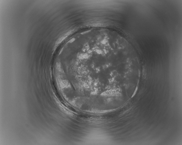 X0000076080725200610202039