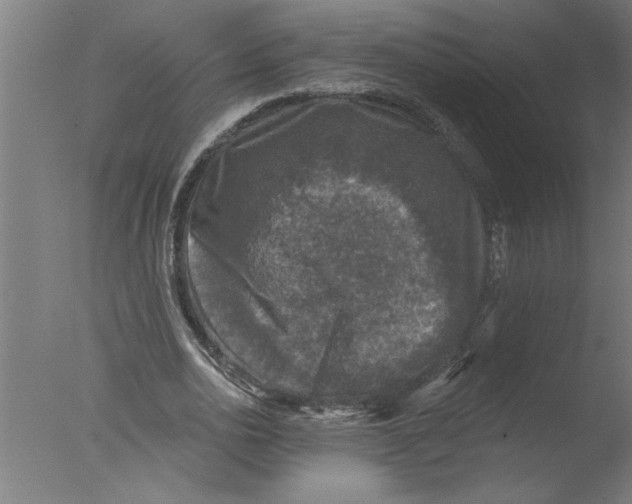 X0000076080726200610202039