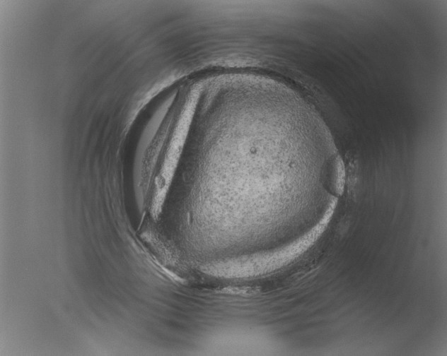 X0000076080727200610202039