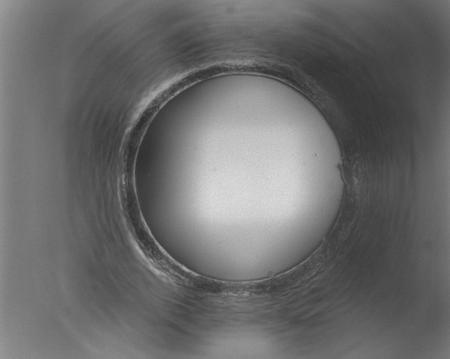 X0000076080728200610202039