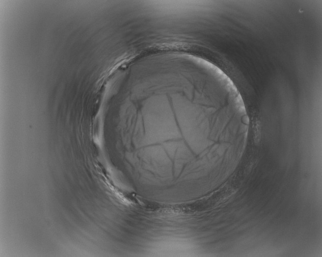 X0000076080729200610202039