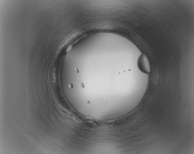 X0000076080731200610202039