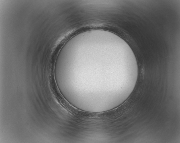 X0000076080732200610202039