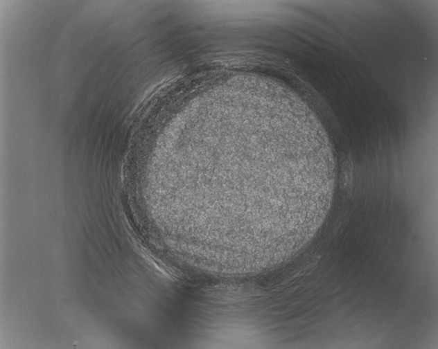 X0000076080733200610202039