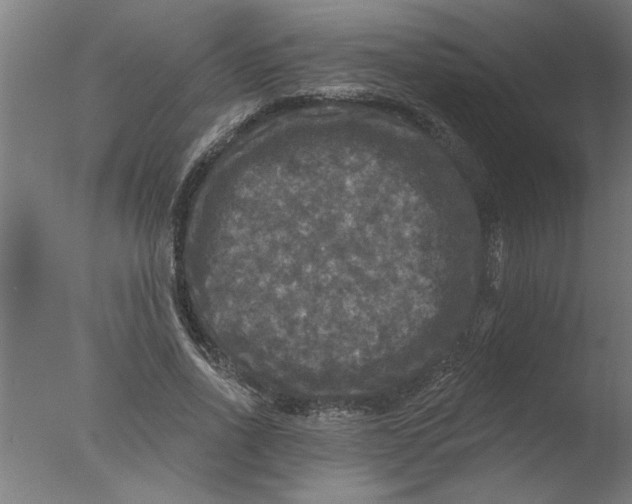 X0000076080734200610202039