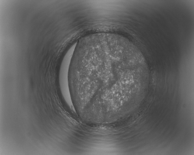 X0000076080737200610202039