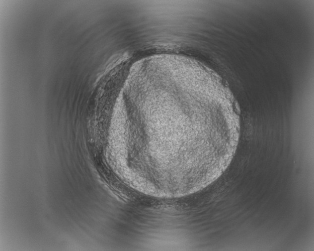 X0000076080738200610202039