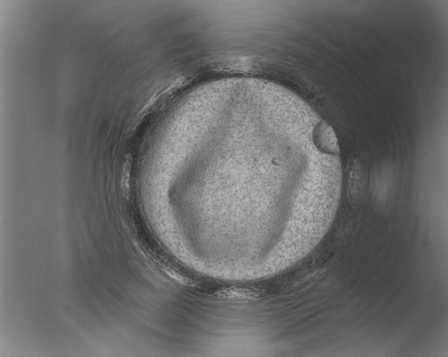 X0000076080739200610202040