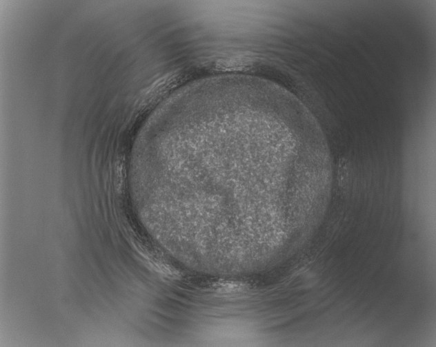 X0000076080741200610202040