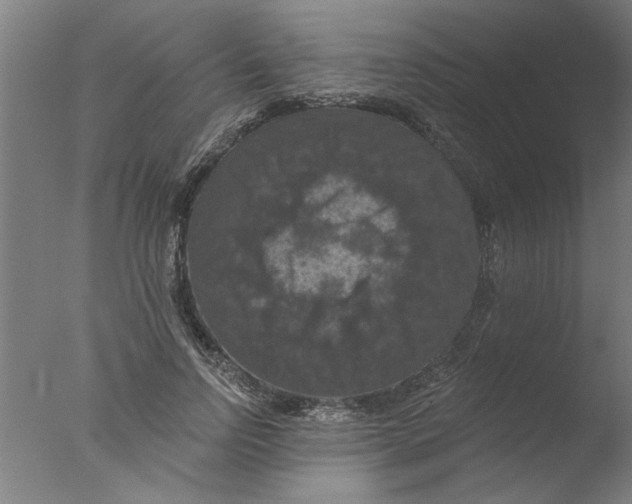 X0000076080742200610202040