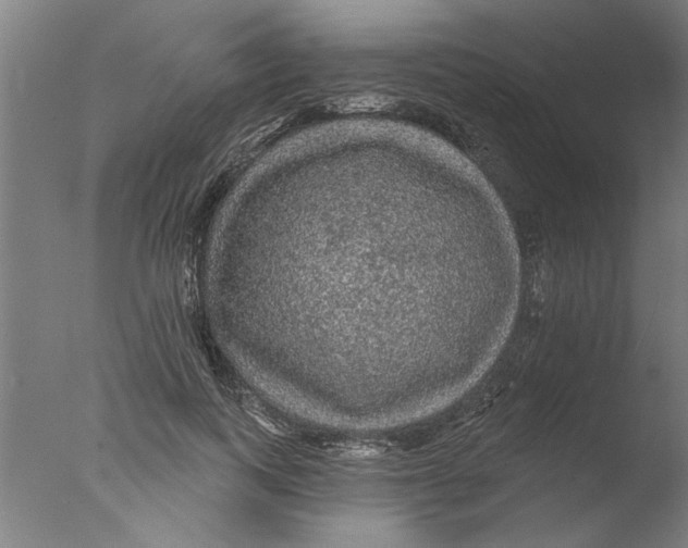 X0000076080743200610202040