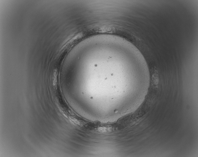 X0000076080744200610202040