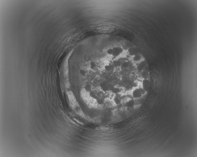 X0000076080745200610202040