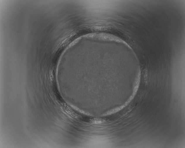 X0000076080746200610202040