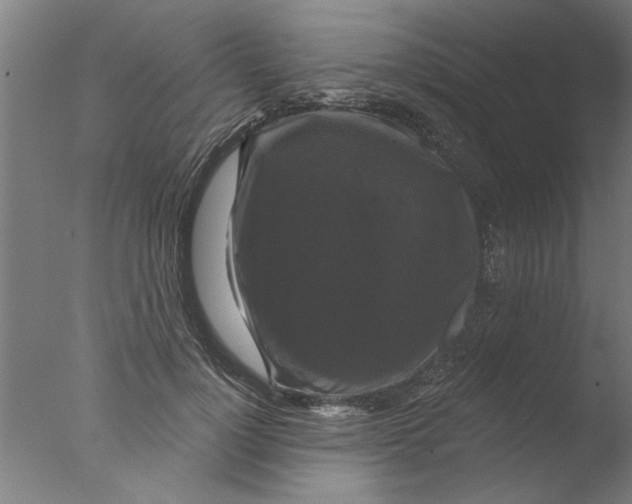 X0000076080748200610202040