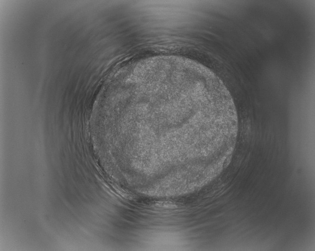 X0000076080749200610202040