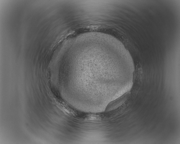 X0000076080750200610202040