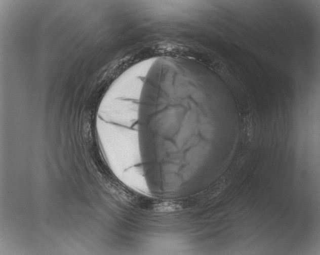 X0000076080754200610202040