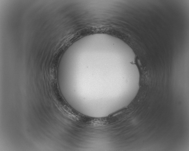 X0000076080756200610202040