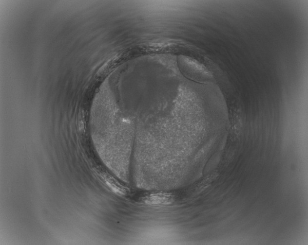 X0000076080758200610202040